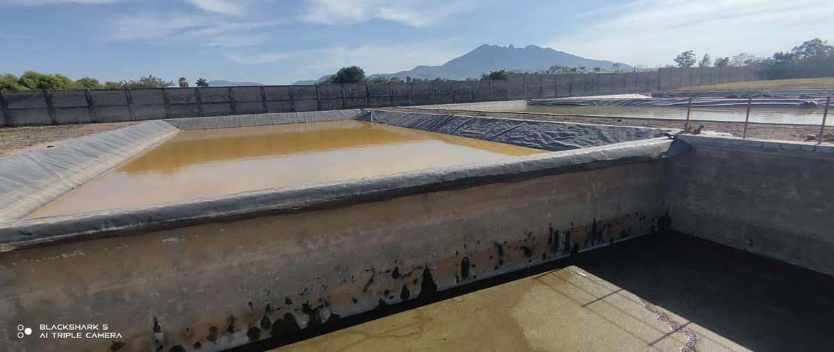Foto de terreno habitacional en venta en  , tepic centro, tepic, nayarit, 0 No. 05