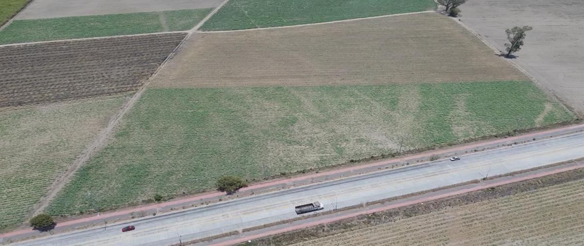Foto de terreno habitacional en renta en  , tepic centro, tepic, nayarit, 31595940 No. 03
