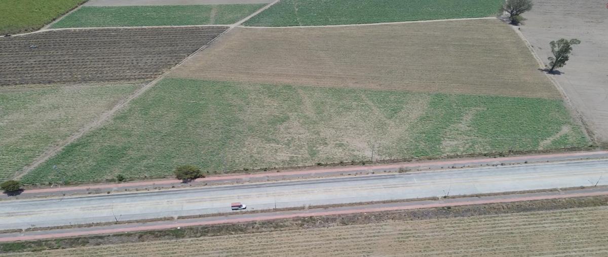 Foto de terreno habitacional en renta en  , tepic centro, tepic, nayarit, 31595940 No. 04