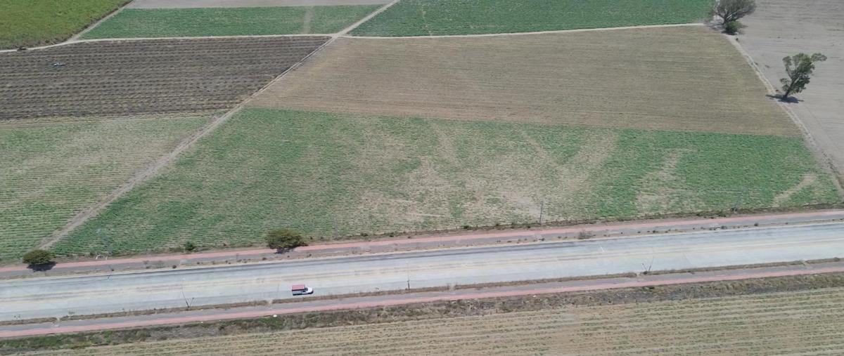 Foto de terreno habitacional en renta en  , tepic centro, tepic, nayarit, 31595940 No. 05