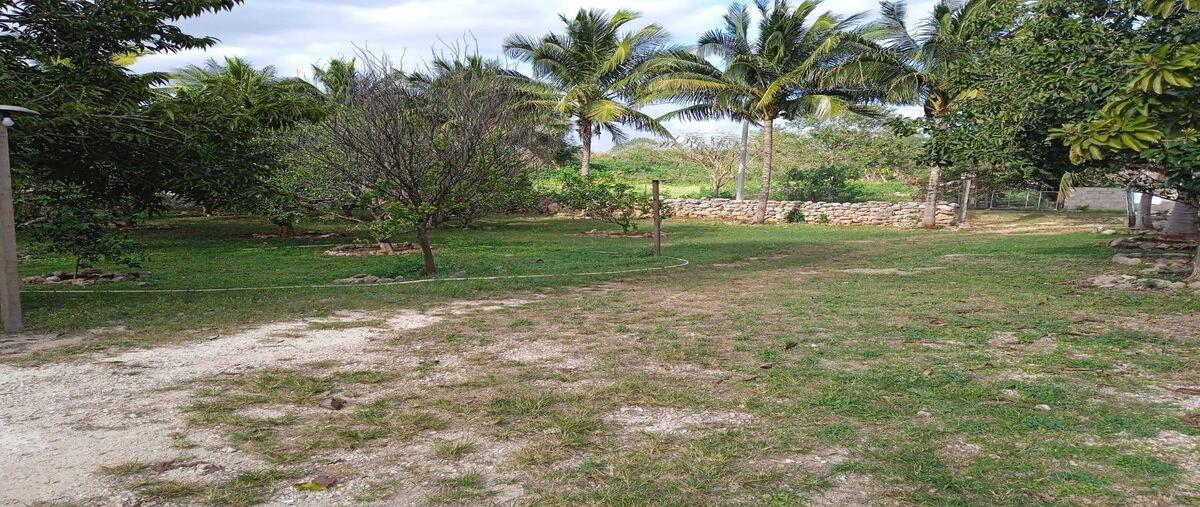 Foto de terreno habitacional en venta en  , tepich carrillo, acanceh, yucatán, 30609845 No. 03
