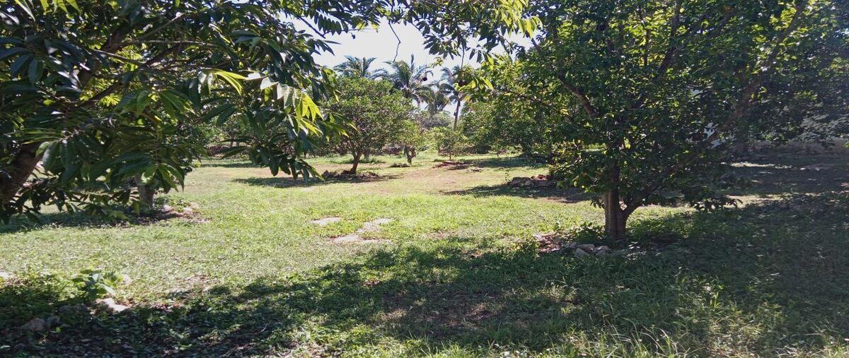 Foto de terreno habitacional en venta en  , tepich carrillo, acanceh, yucatán, 30609845 No. 04