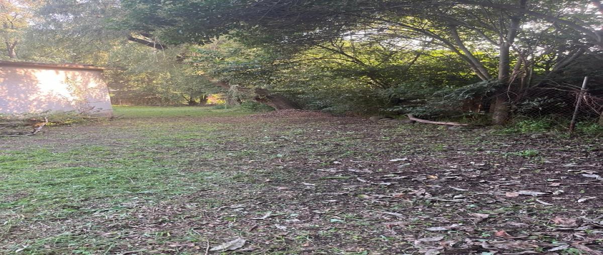 Foto de terreno habitacional en venta en  , tepotzotlán, tepotzotlán, méxico, 30116269 No. 05