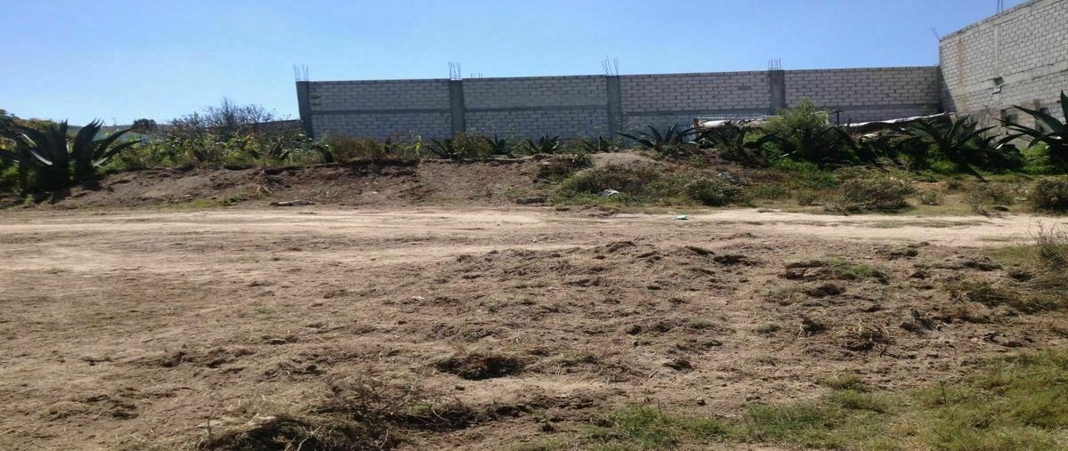 Foto de terreno habitacional en venta en tepozan , santiago tlapacoya centro, pachuca de soto, hidalgo, 20868187 No. 03