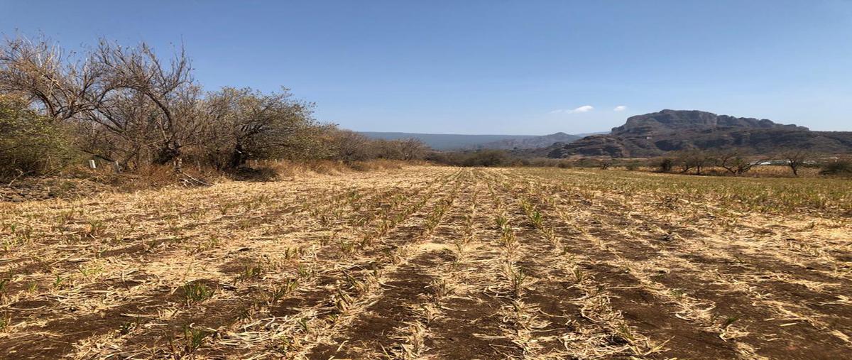 Foto de terreno habitacional en venta en  , tepoztlán centro, tepoztlán, morelos, 0 No. 01