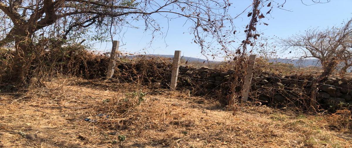Foto de terreno habitacional en venta en  , tepoztlán centro, tepoztlán, morelos, 0 No. 02
