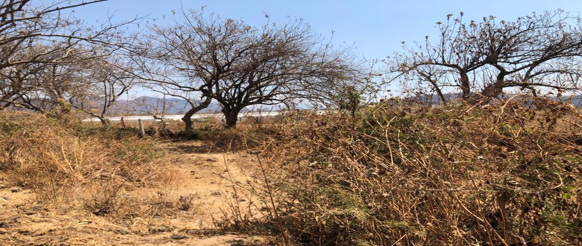 Foto de terreno habitacional en venta en  , tepoztlán centro, tepoztlán, morelos, 0 No. 03