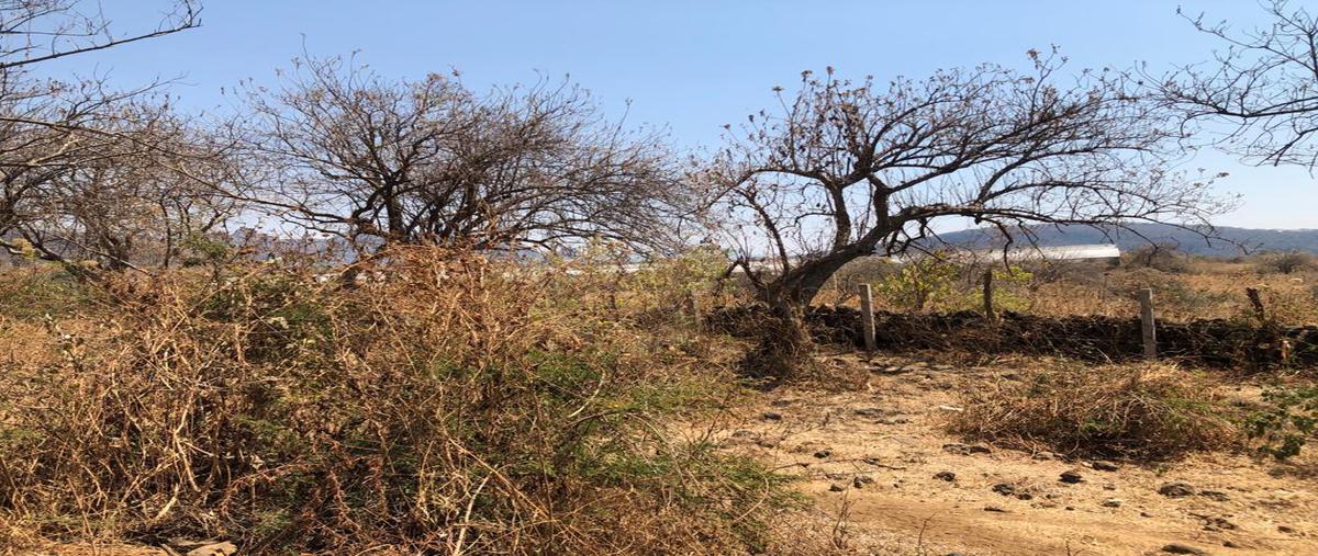 Foto de terreno habitacional en venta en  , tepoztlán centro, tepoztlán, morelos, 0 No. 04