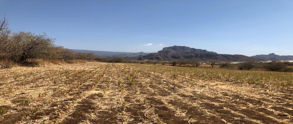 Foto de terreno habitacional en venta en  , tepoztlán centro, tepoztlán, morelos, 0 No. 05