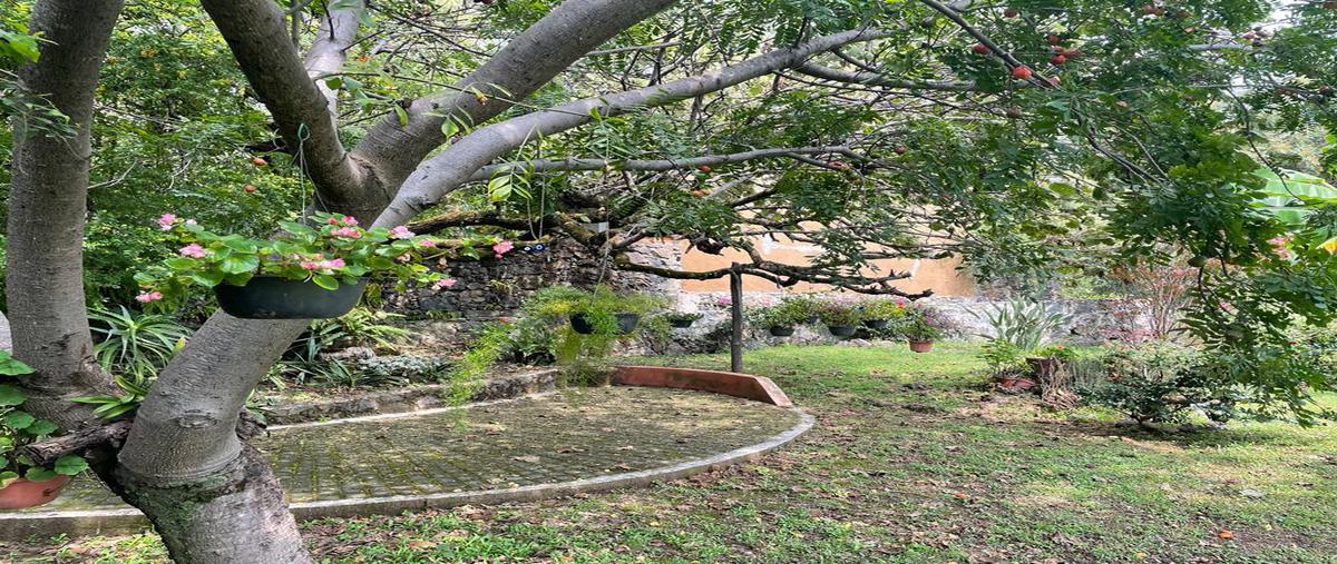 Foto de casa en venta en  , tepoztlán centro, tepoztlán, morelos, 0 No. 04