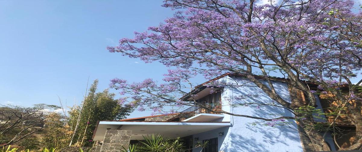 Foto de casa en renta en  , tepoztlán centro, tepoztlán, morelos, 0 No. 03