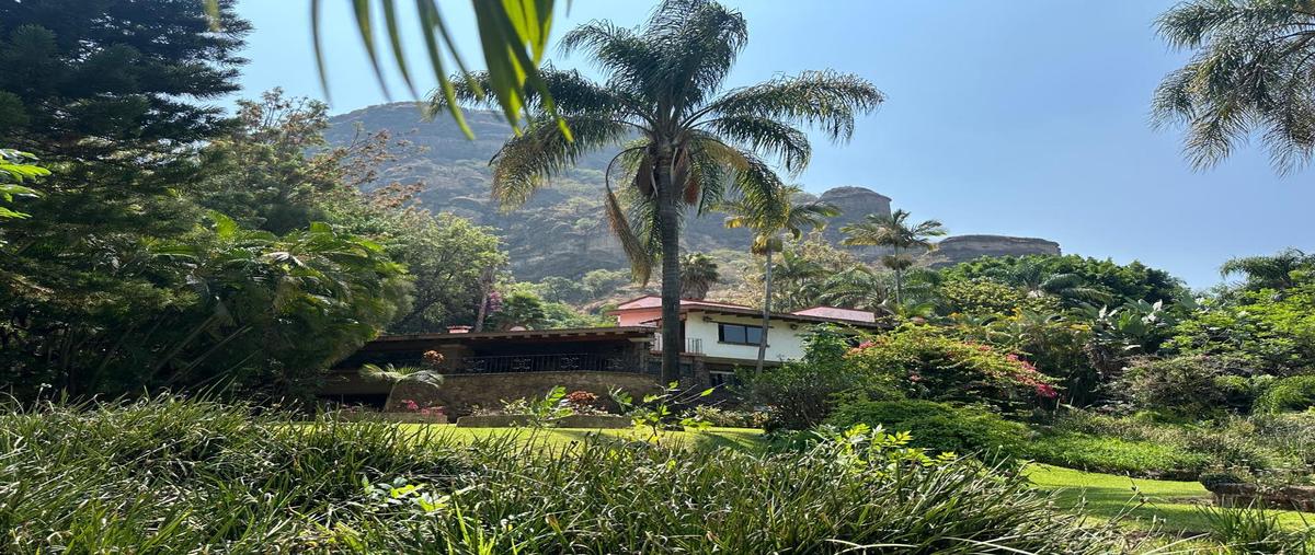 Foto de rancho en , tepoztlán centro, tepoztlán, morelos, 0 foto 03 Foto de rancho en venta en , tepoztlán centro, tepoztlán, morelos, 0 No. 03
