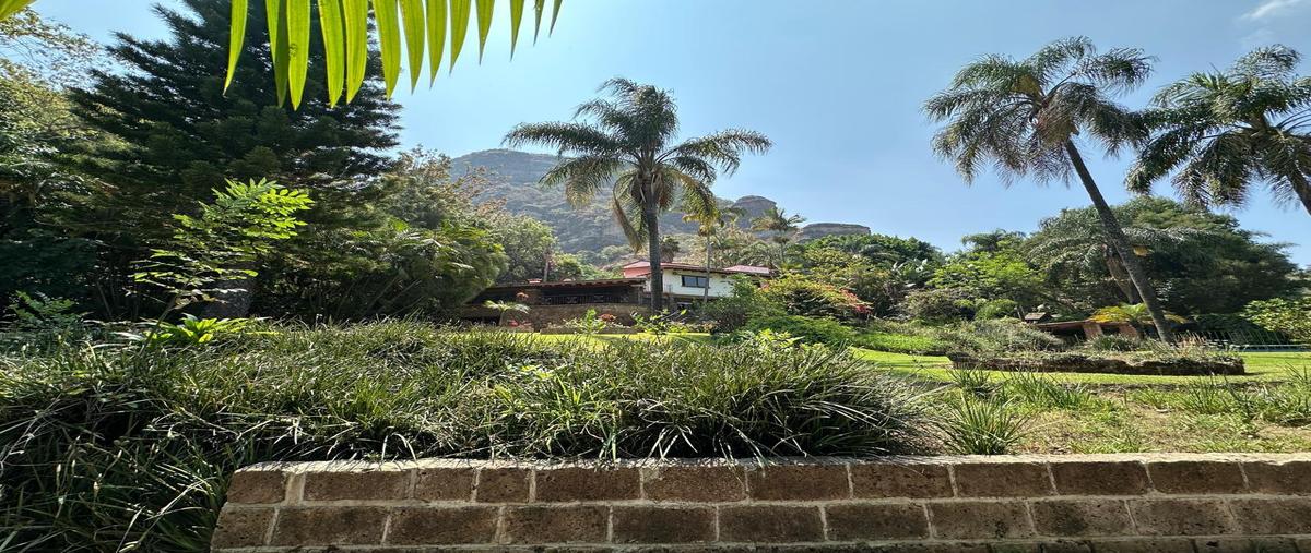 Foto de rancho en , tepoztlán centro, tepoztlán, morelos, 0 foto 04 Foto de rancho en venta en , tepoztlán centro, tepoztlán, morelos, 0 No. 04