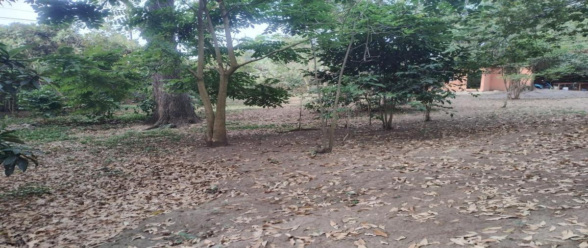 Foto de terreno habitacional en venta en  , tepoztlán centro, tepoztlán, morelos, 0 No. 01