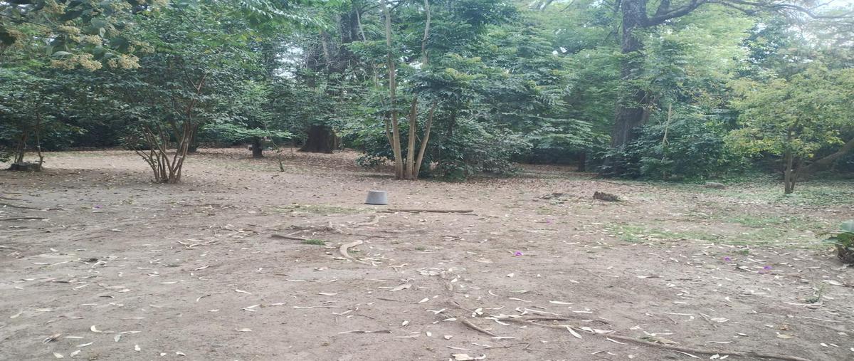 Foto de terreno habitacional en venta en  , tepoztlán centro, tepoztlán, morelos, 0 No. 03