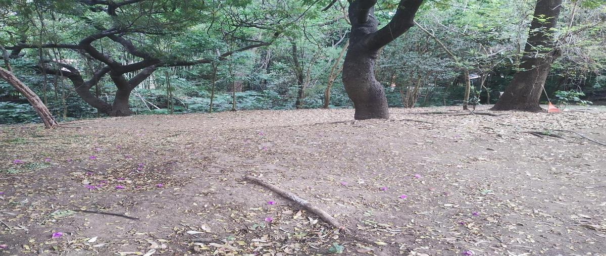 Foto de terreno habitacional en venta en  , tepoztlán centro, tepoztlán, morelos, 0 No. 04