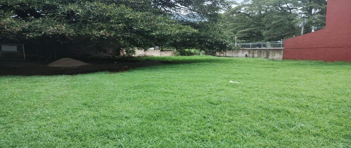 Foto de terreno habitacional en venta en  , tepoztlán centro, tepoztlán, morelos, 0 No. 03