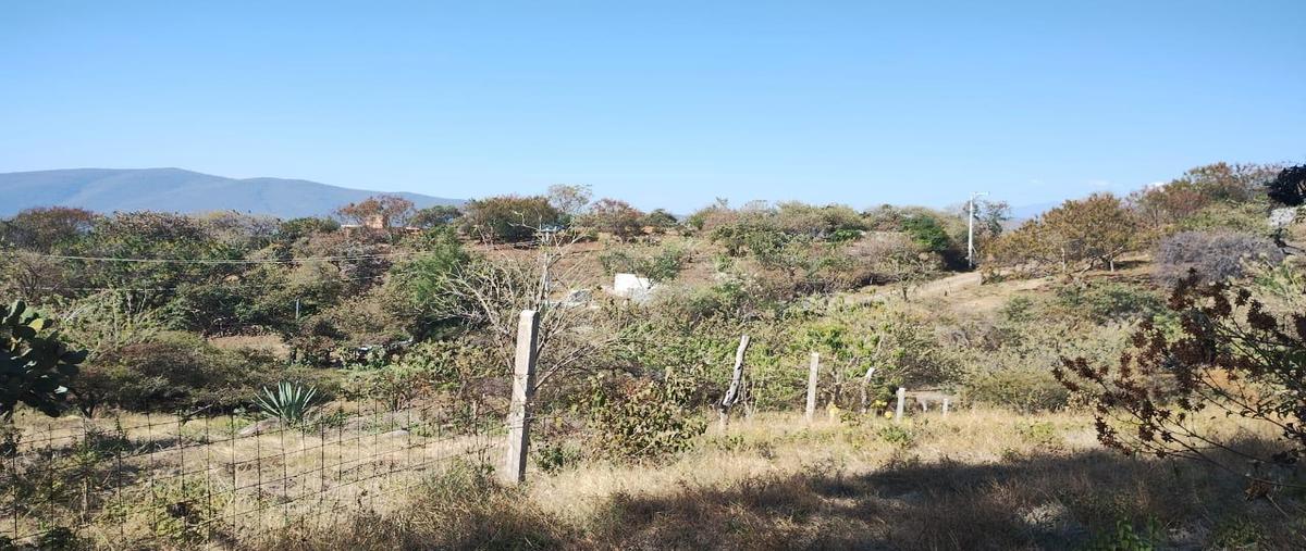 Foto de terreno habitacional en venta en  , tepoztlán centro, tepoztlán, morelos, 0 No. 04