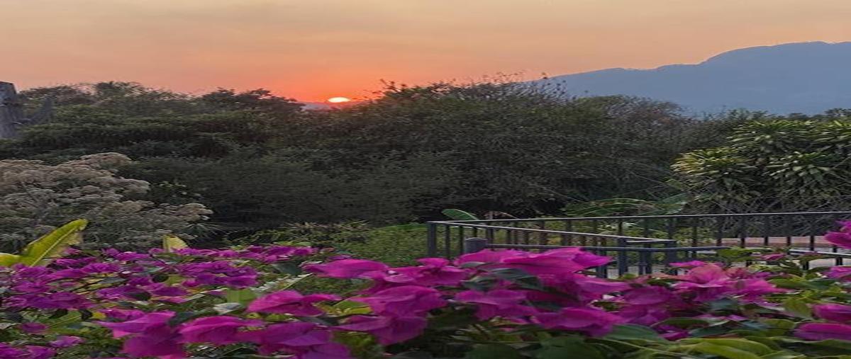 Foto de casa en venta en  , tepoztlán centro, tepoztlán, morelos, 31634371 No. 05