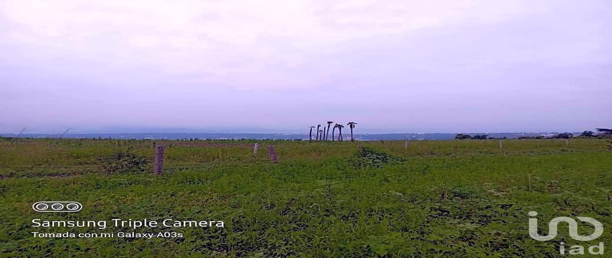 Foto de terreno comercial en teques , tequesquitengo, jojutla, morelos, 0 foto 05 Foto de terreno comercial en venta en teques , tequesquitengo, jojutla, morelos, 0 No. 05