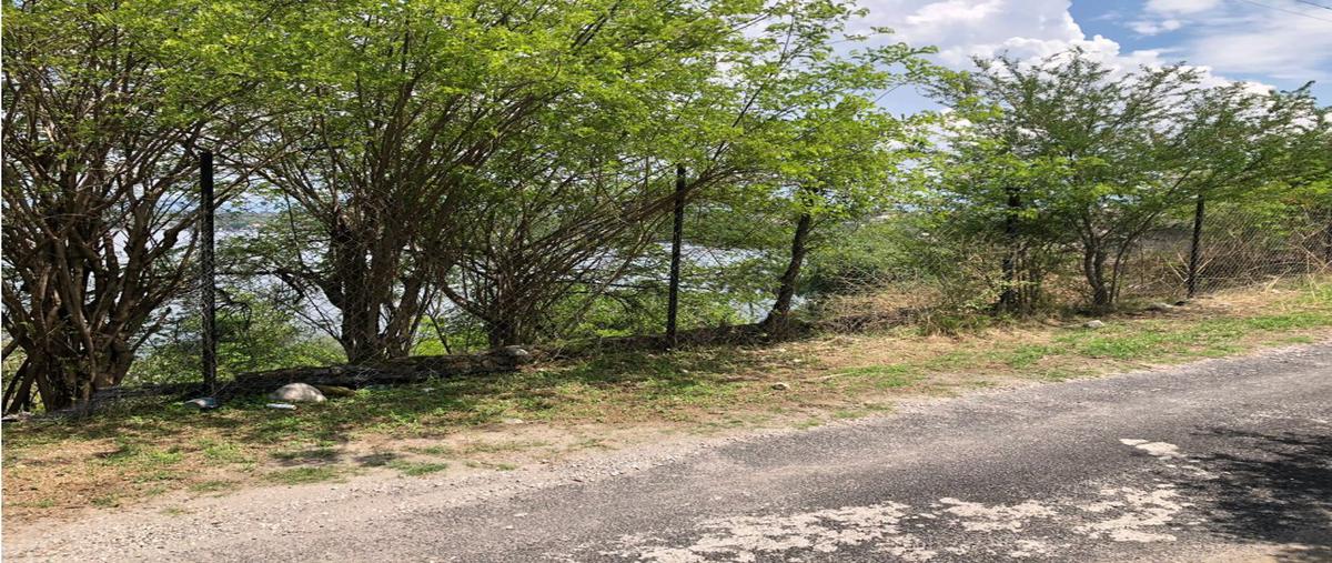 Foto de terreno habitacional en venta en  , tequesquitengo, jojutla, morelos, 0 No. 05