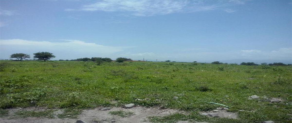 Foto de terreno habitacional en venta en  , tequesquitengo, jojutla, morelos, 0 No. 03