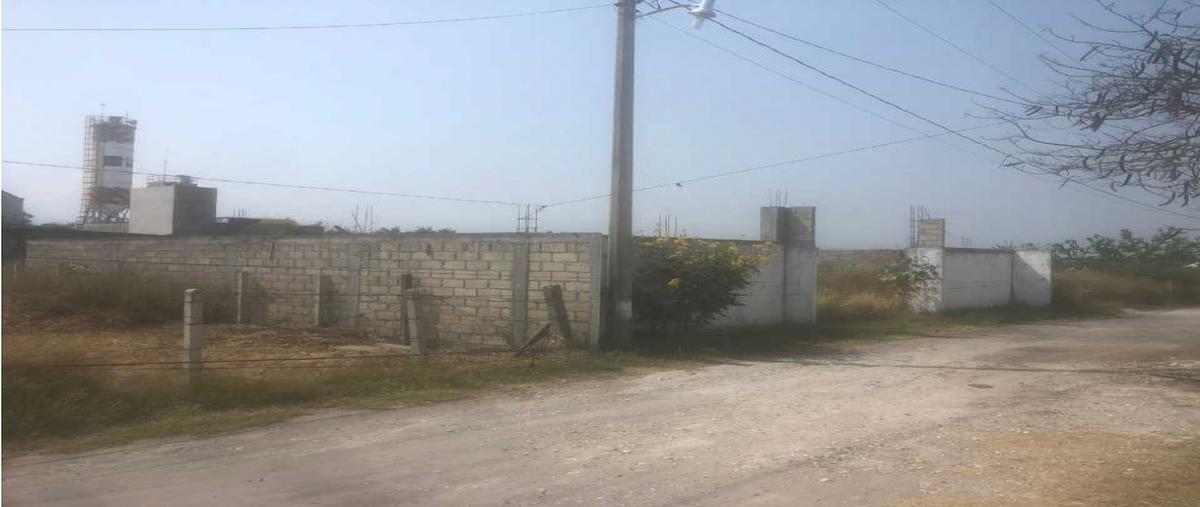 Foto de terreno habitacional en venta en  , tequesquitengo, jojutla, morelos, 25955646 No. 03