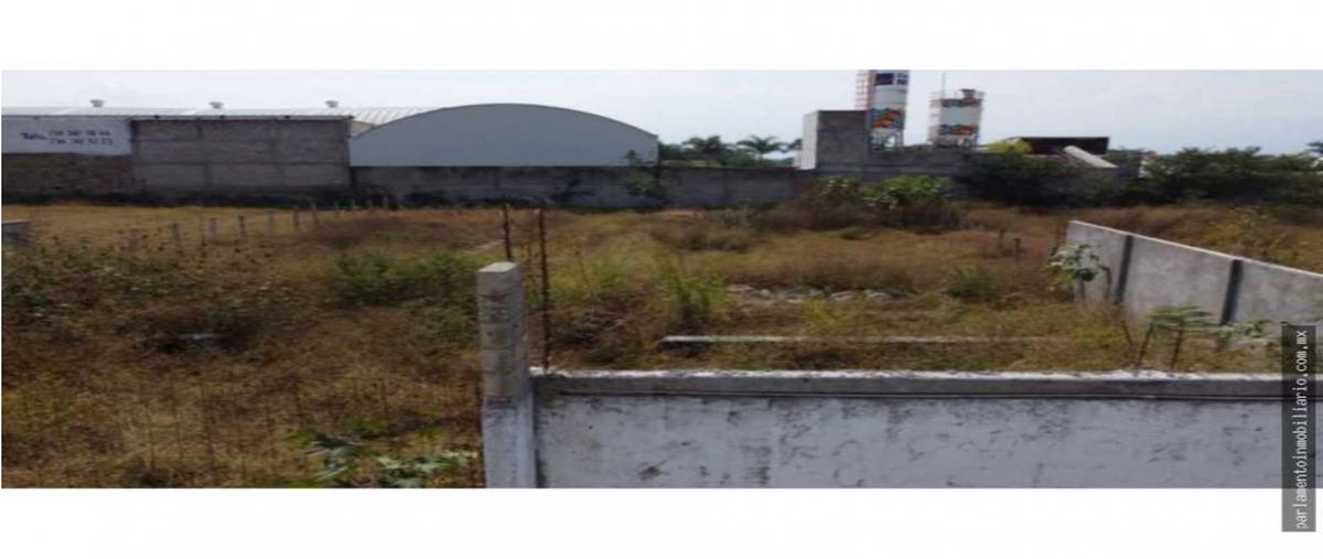 Foto de terreno habitacional en venta en  , tequesquitengo, jojutla, morelos, 25955646 No. 05