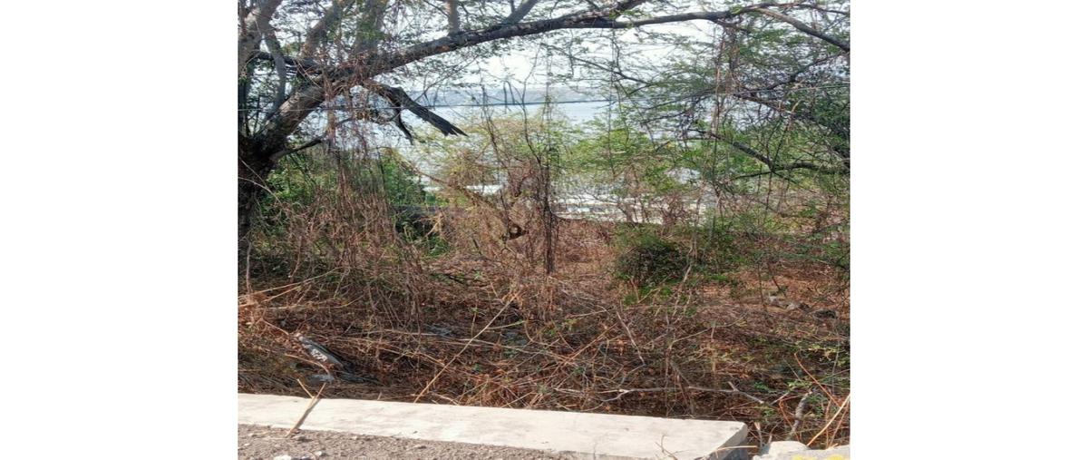 Foto de terreno habitacional en venta en  , tequesquitengo, jojutla, morelos, 0 No. 04