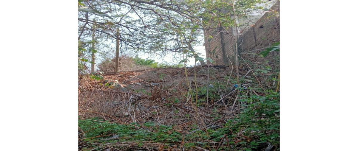 Foto de terreno habitacional en venta en  , tequesquitengo, jojutla, morelos, 0 No. 05