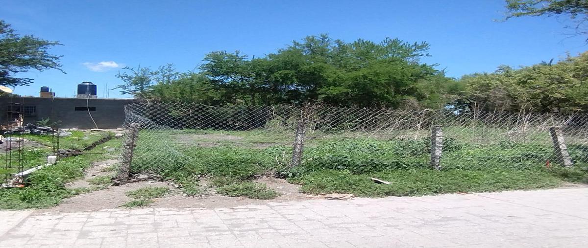 Foto de terreno habitacional en venta en  , tequesquitengo, jojutla, morelos, 0 No. 03