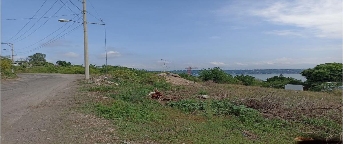 Foto de terreno habitacional en venta en  , tequesquitengo, jojutla, morelos, 0 No. 05