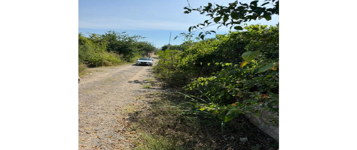 Foto de terreno habitacional en venta en  , tequesquitengo, jojutla, morelos, 0 No. 03