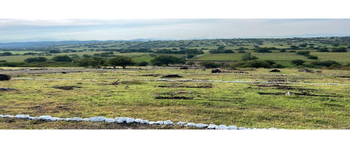 Foto de terreno habitacional en venta en  , tequesquitengo, jojutla, morelos, 0 No. 05