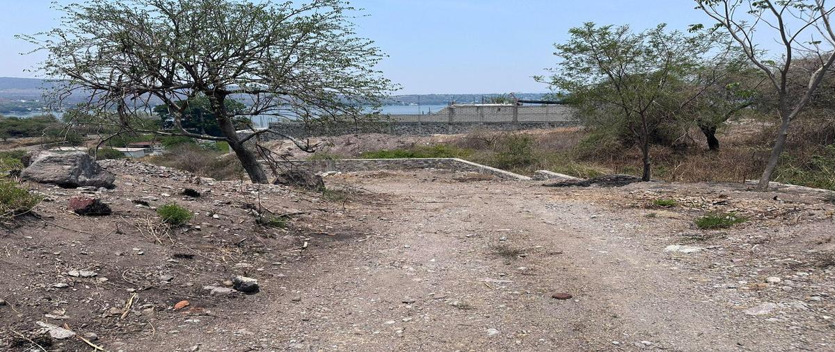 Foto de terreno habitacional en venta en  , tequesquitengo, jojutla, morelos, 0 No. 03