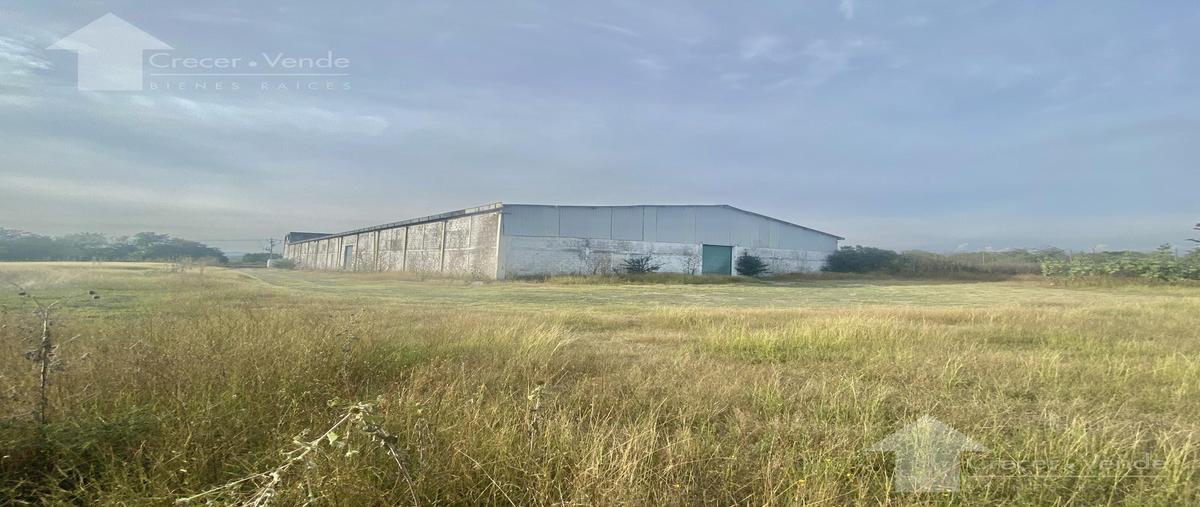 Foto de bodega en venta en  , tequesquitengo, jojutla, morelos, 0 No. 03
