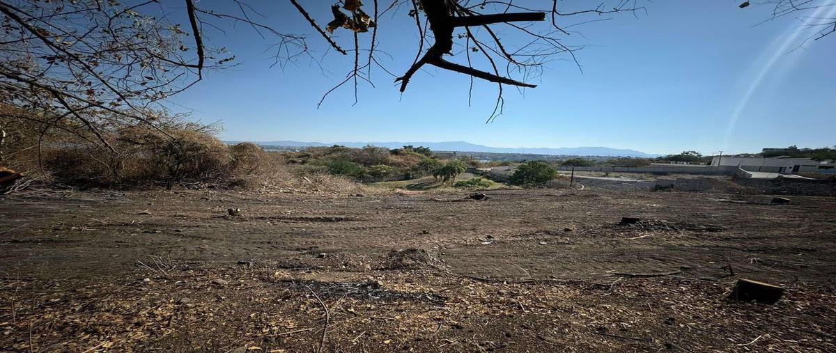 Foto de terreno habitacional en venta en  , tequesquitengo, jojutla, morelos, 0 No. 03