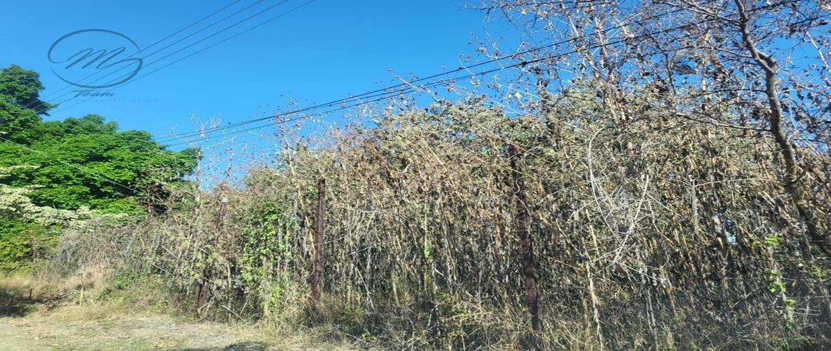 Foto de terreno habitacional en venta en  , tequesquitengo, jojutla, morelos, 0 No. 04