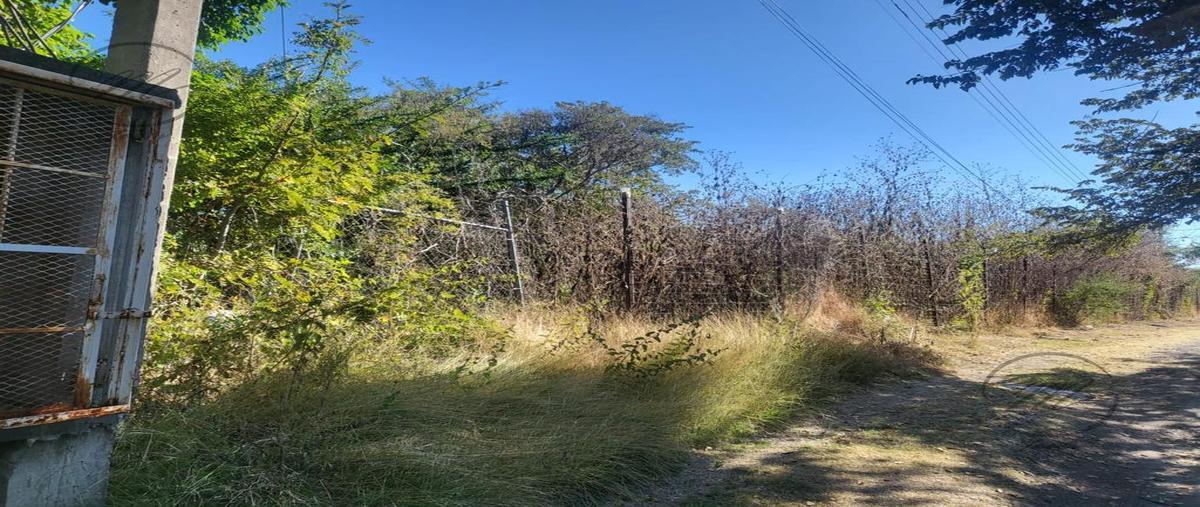 Foto de terreno habitacional en venta en  , tequesquitengo, jojutla, morelos, 0 No. 05