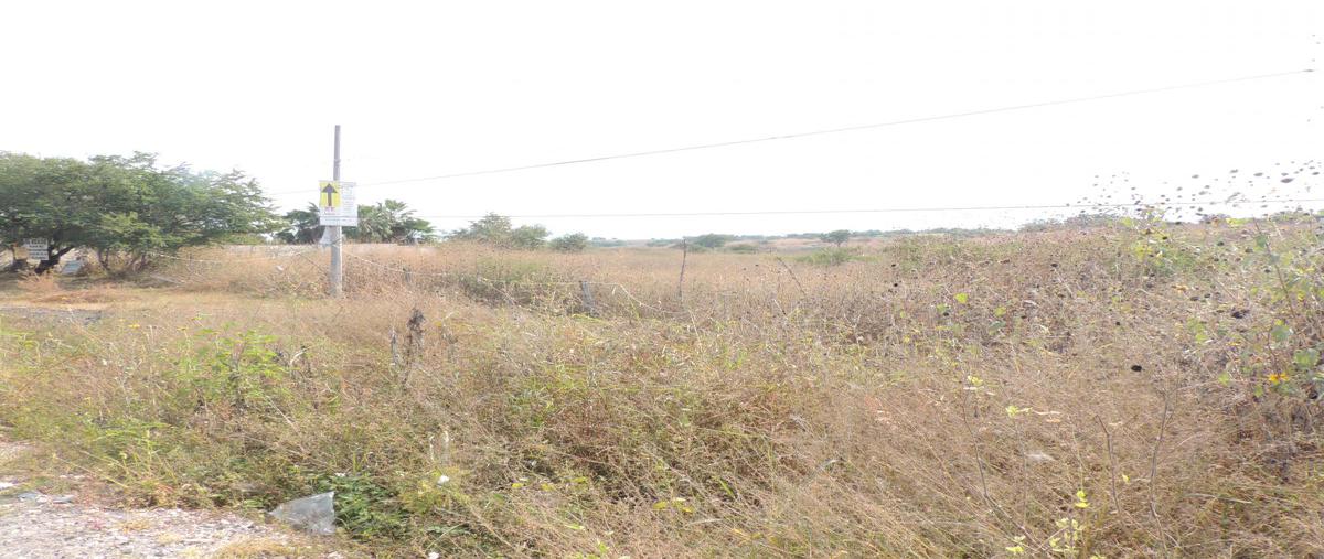 Foto de terreno habitacional en venta en tequesquitengo , tequesquitengo, jojutla, morelos, 18622357 No. 02