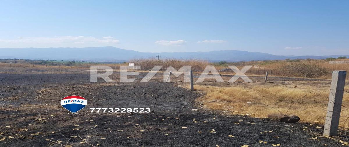 Foto de terreno habitacional en venta en tequesquitengo , tequesquitengo, jojutla, morelos, 0 No. 03