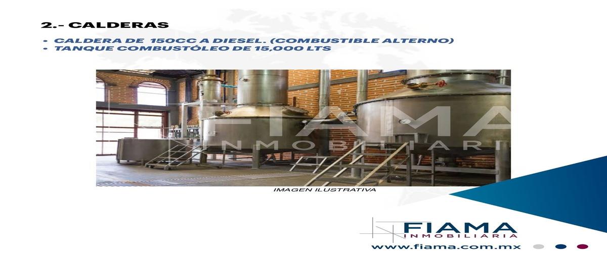 Foto de terreno industrial en venta en . , tequila centro, tequila, jalisco, 0 No. 04