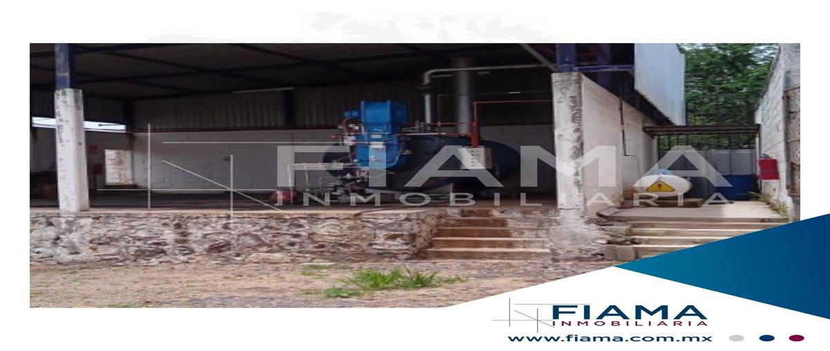 Foto de terreno industrial en venta en . , tequila centro, tequila, jalisco, 0 No. 05