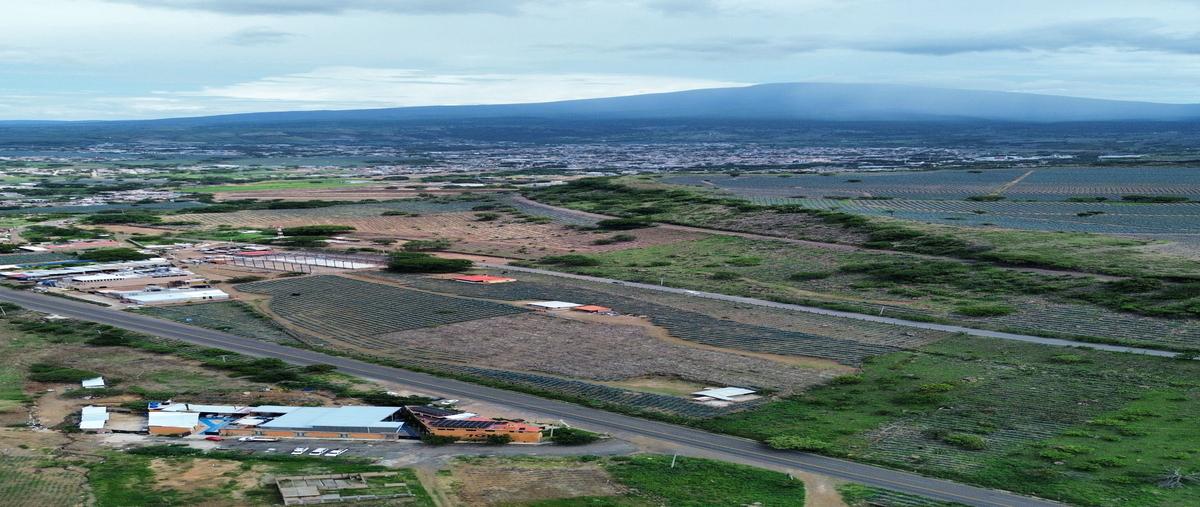 Foto de terreno comercial en venta en  , tequila centro, tequila, jalisco, 30146483 No. 04