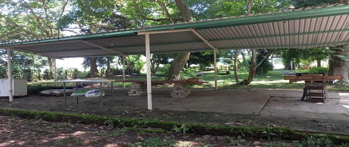Foto de rancho en venta en  , tequila, jalapa, tabasco, 0 No. 04