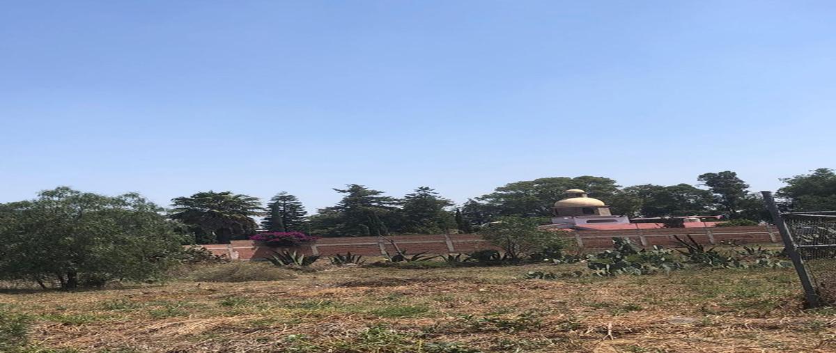 Foto de terreno habitacional en venta en  , tequisistlan, tezoyuca, méxico, 29123517 No. 05