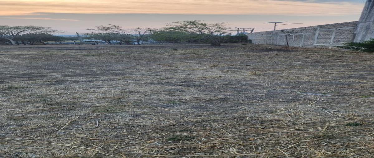 Foto de terreno habitacional en renta en  , terán, tuxtla gutiérrez, chiapas, 0 No. 04