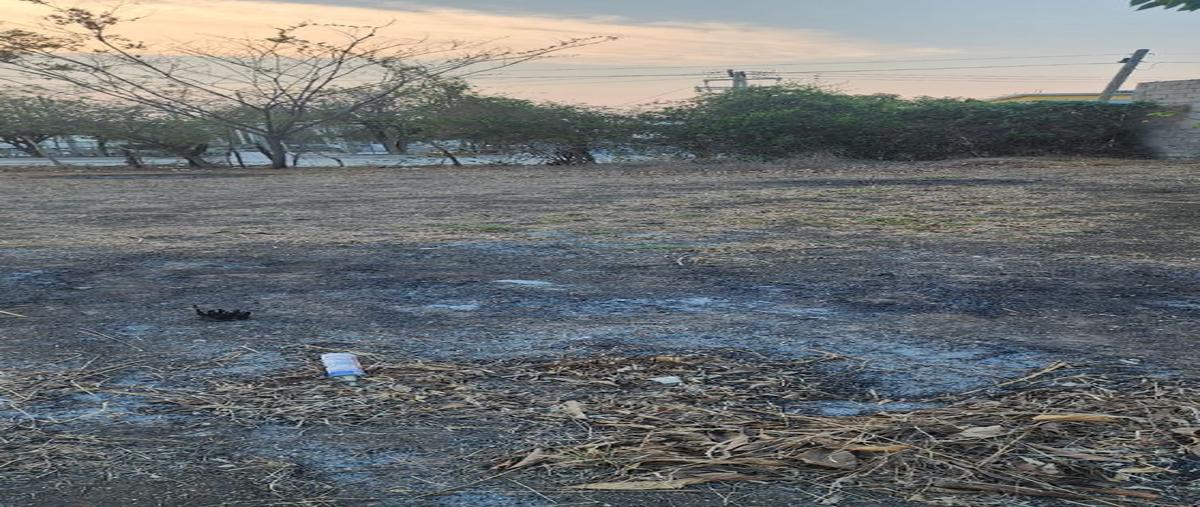 Foto de terreno habitacional en renta en  , terán, tuxtla gutiérrez, chiapas, 0 No. 05