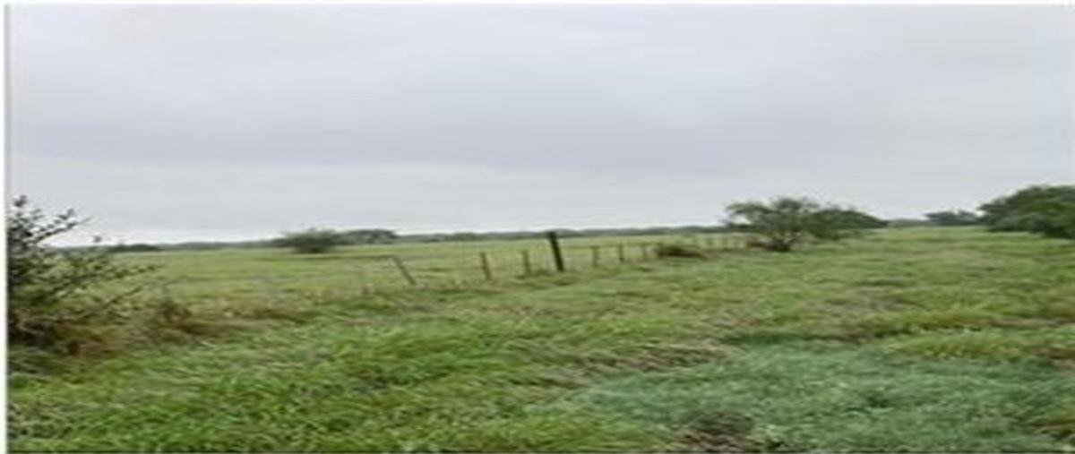 Foto de terreno habitacional en venta en ternium , pesquería, pesquería, nuevo león, 30129859 No. 04