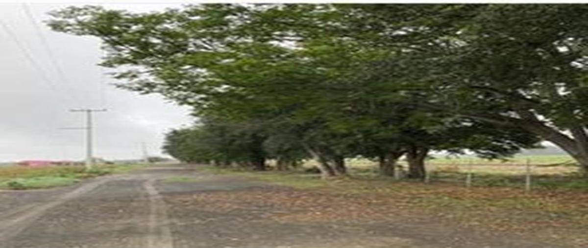 Foto de terreno habitacional en venta en ternium , pesquería, pesquería, nuevo león, 30129859 No. 05